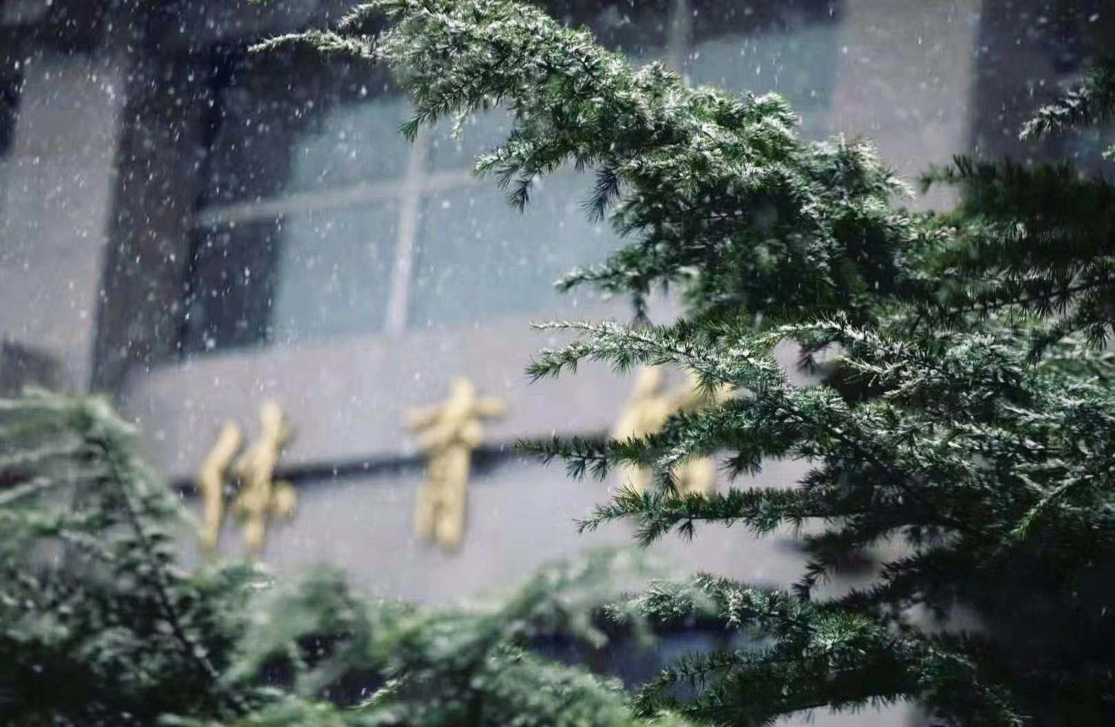 中國消防救援學院 我的大學