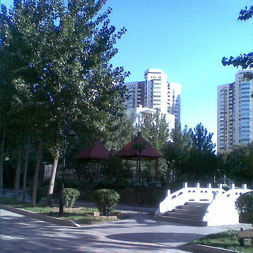 國際關(guān)系學(xué)院-流金歲月