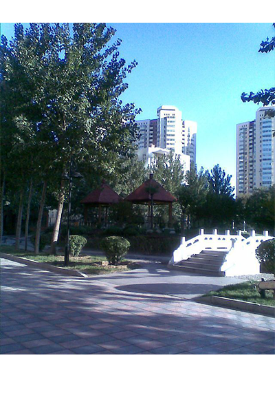 國際關系學院