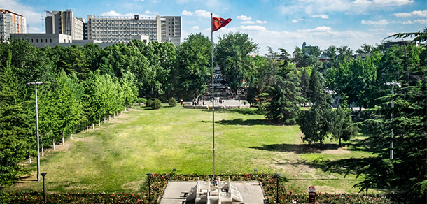 我的大學(xué)-大學(xué)志