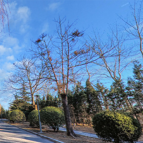 校志校史