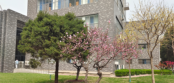 中國勞動關系學院 - 最美大學