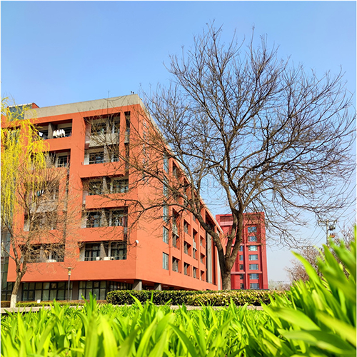 大學(xué)志