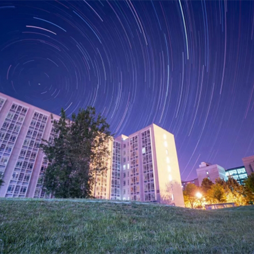 最美大學