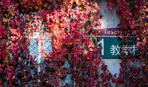 北京理工大學(xué)-校園風光