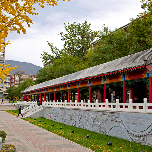 最美大學(xué)