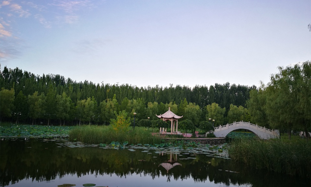 北京經(jīng)濟技術職業(yè)學院 校園文化