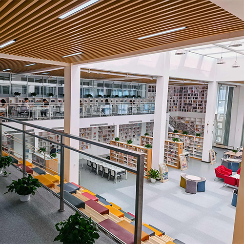 最美大學