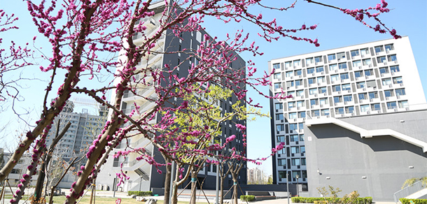北京經(jīng)濟管理職業(yè)學院 - 最美大學