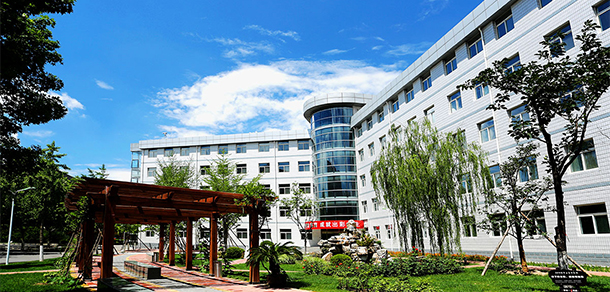 我的大學(xué)-大學(xué)志