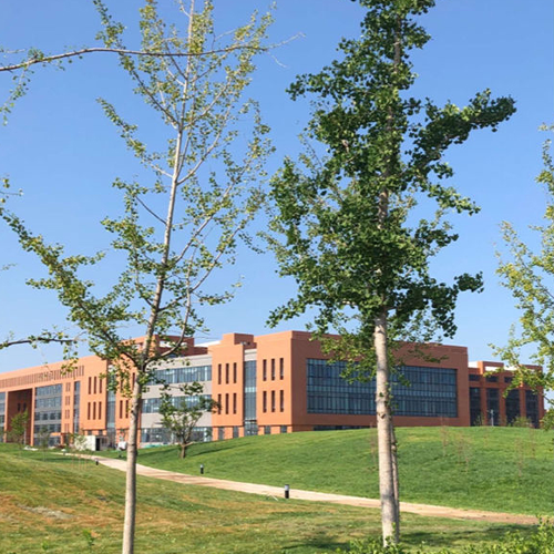 民政職業(yè)大學(xué)-最美校園