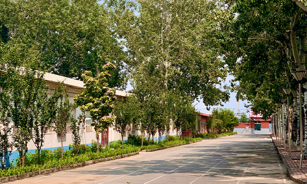 中國(guó)最美大學(xué)