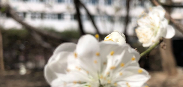 北京體育職業(yè)學院 - 最美大學