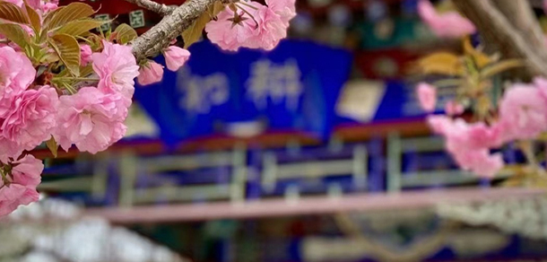 北京體育職業(yè)學院 - 最美大學