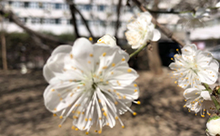 北京體育職業(yè)學院 - 我的大學
