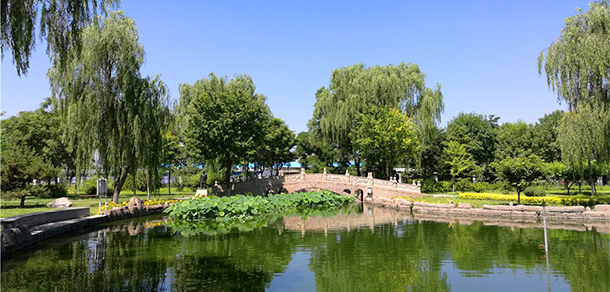 北京交通職業(yè)技術(shù)學院 - 最美大學