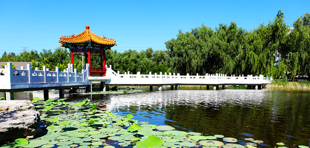 北京農(nóng)業(yè)職業(yè)學院 - 最美院校