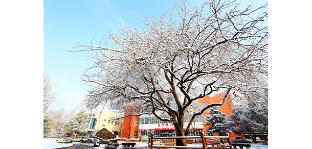 北京農(nóng)業(yè)職業(yè)學院 - 最美大學