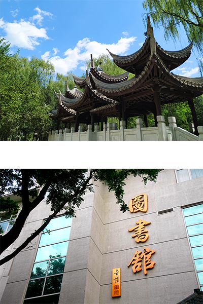 歲月流金 · 青春不散場