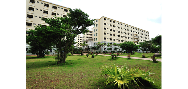 我的大學(xué)-大學(xué)志