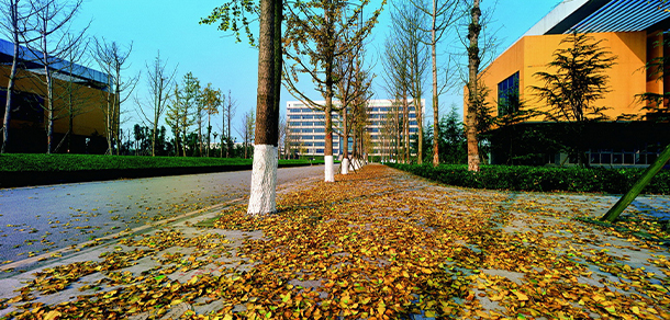 重慶科技學院 - 最美大學