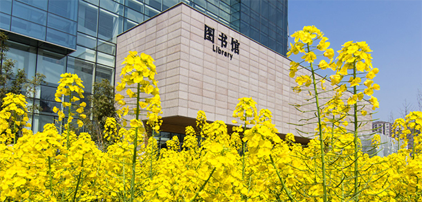 四川農(nóng)業(yè)大學 - 最美大學