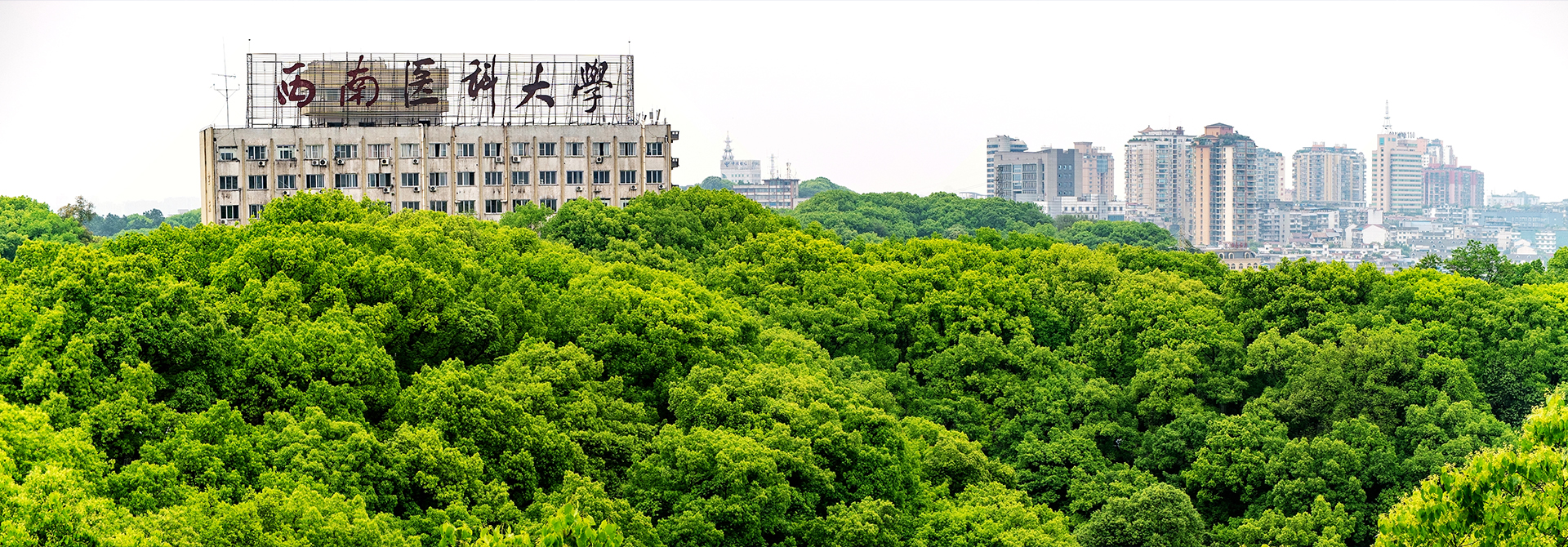 西南醫(yī)科大學 - 院校概況
