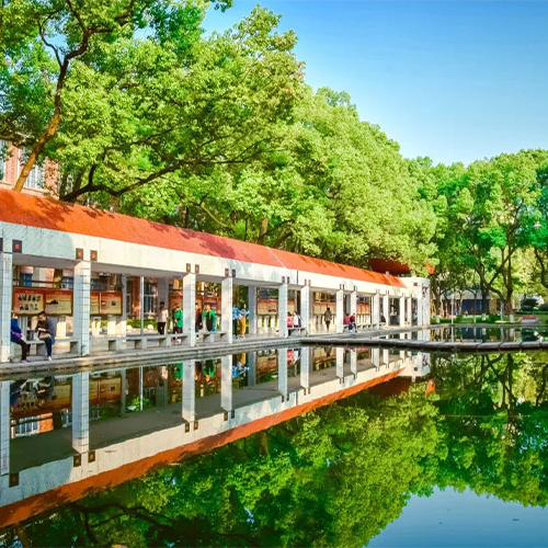 我的大學(xué)
