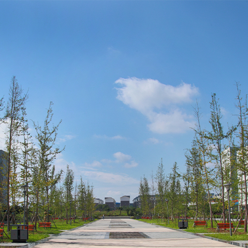 我的大學(xué)