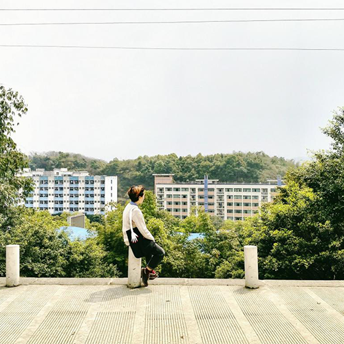 校志校史