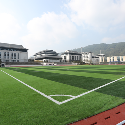 大學簡介