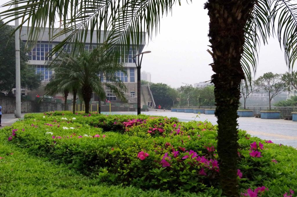宜賓學院 我的大學