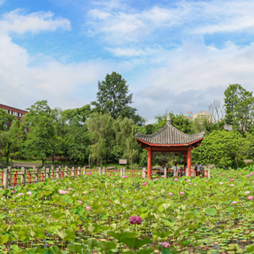 最美校園