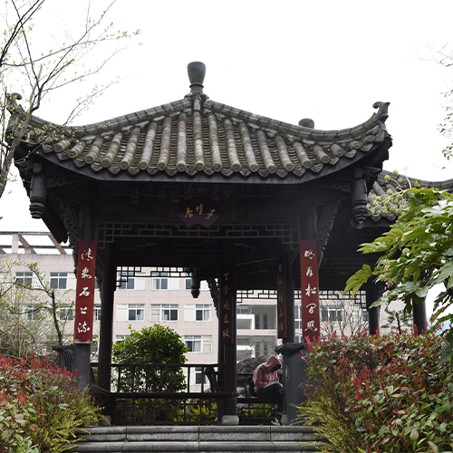 我的大學(xué)