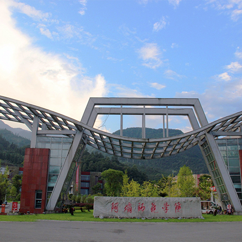大學(xué)簡介
