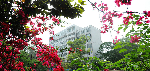 樂山師范學院 - 最美大學