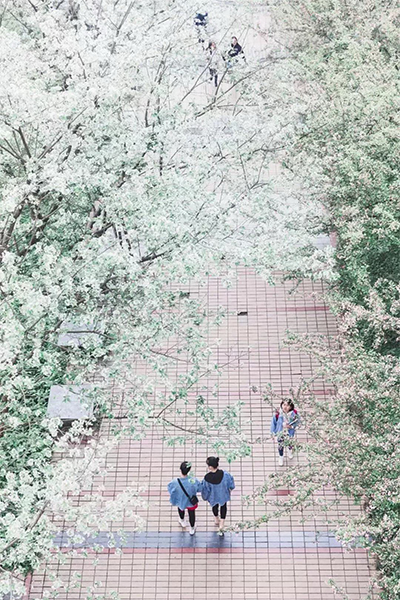 樂山師范學院
