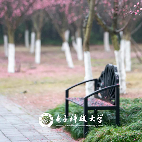 大學(xué)簡介