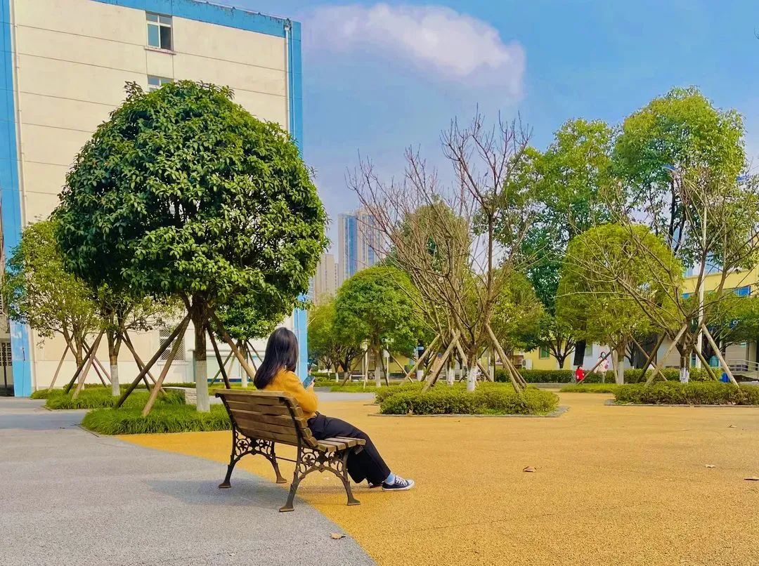 電子科技大學(xué) 我的大學(xué)
