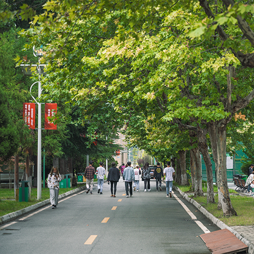 我的大學(xué)
