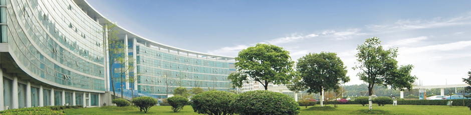 電子科技大學成都學院 早安青春