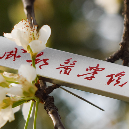 成都醫(yī)學院-流金歲月
