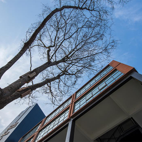 西南財經大學天府學院-流金歲月