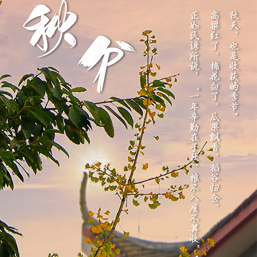 「 流金歲月 · 致青春 」
