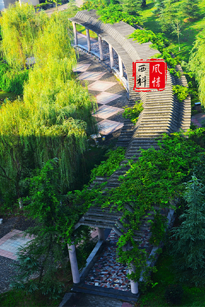 西南科技大學-流金歲月