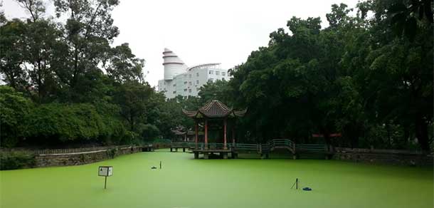四川機電職業(yè)技術(shù)學(xué)院 - 最美院校