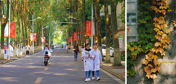 成都農(nóng)業(yè)科技職業(yè)學院 - 最美大學
