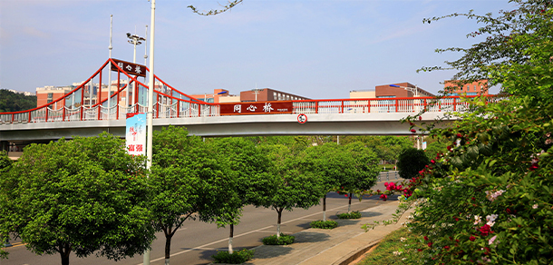 四川中醫(yī)藥高等?？茖W(xué)校 - 最美大學(xué)