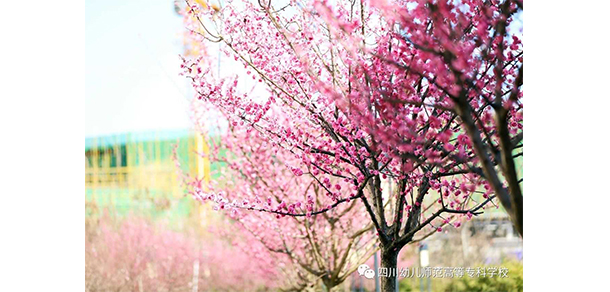 四川幼兒師范高等?？茖W(xué)校 - 最美大學(xué)