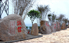 歷史沿革(概)校史